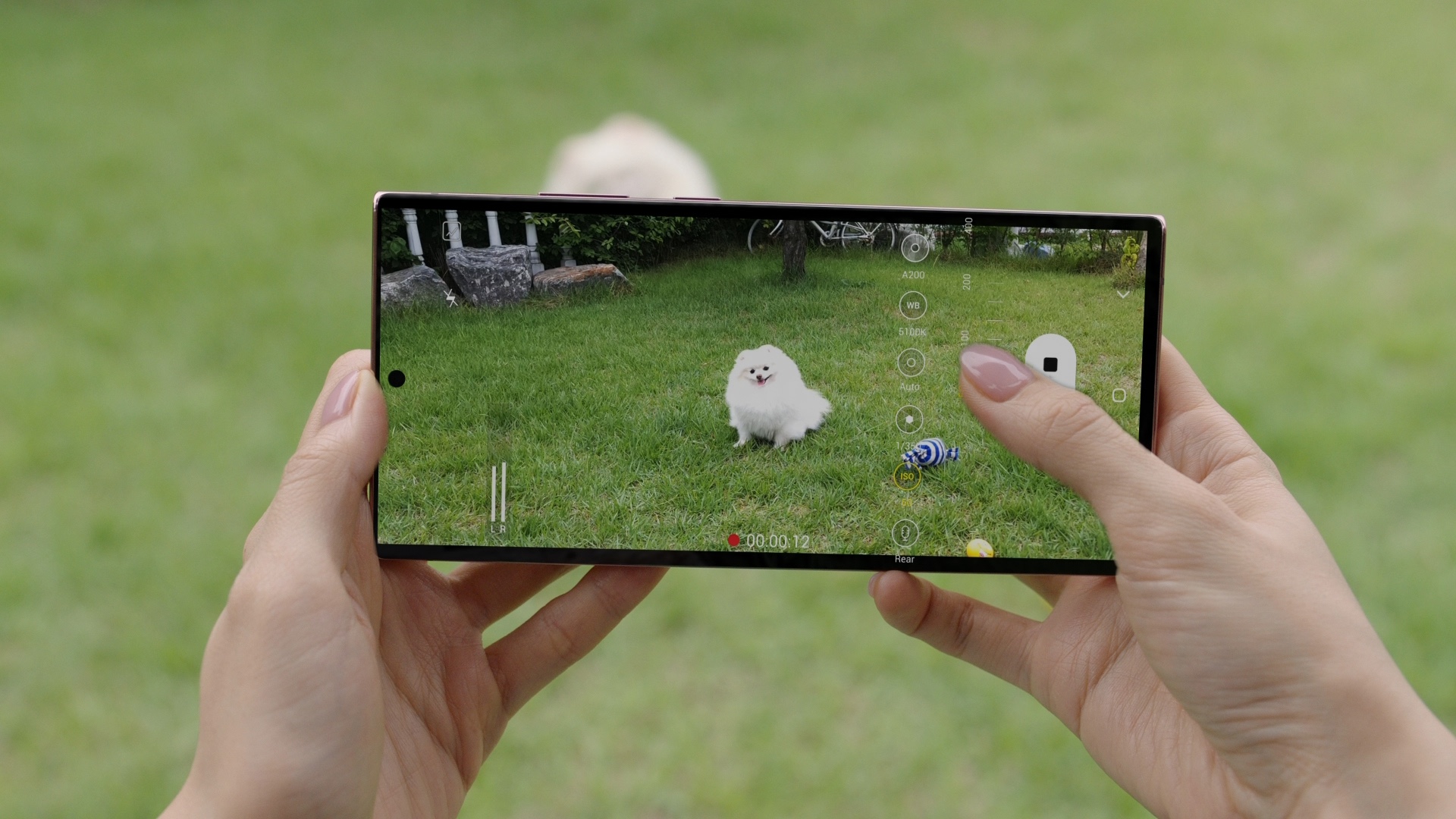 Galaxy Note 20 vs Galaxy Note 20 Ultra