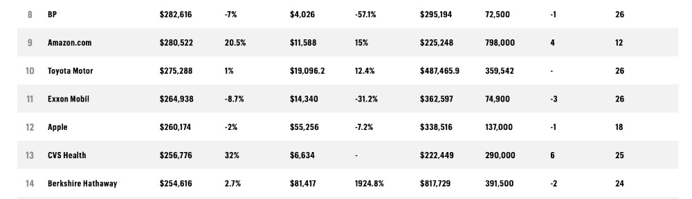 Extract from the 500 list showing Amazon and Apple's relative positions