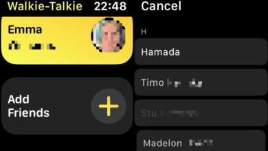 The 'Add Friends' button lets you add contacts to Walkie-Talkie.