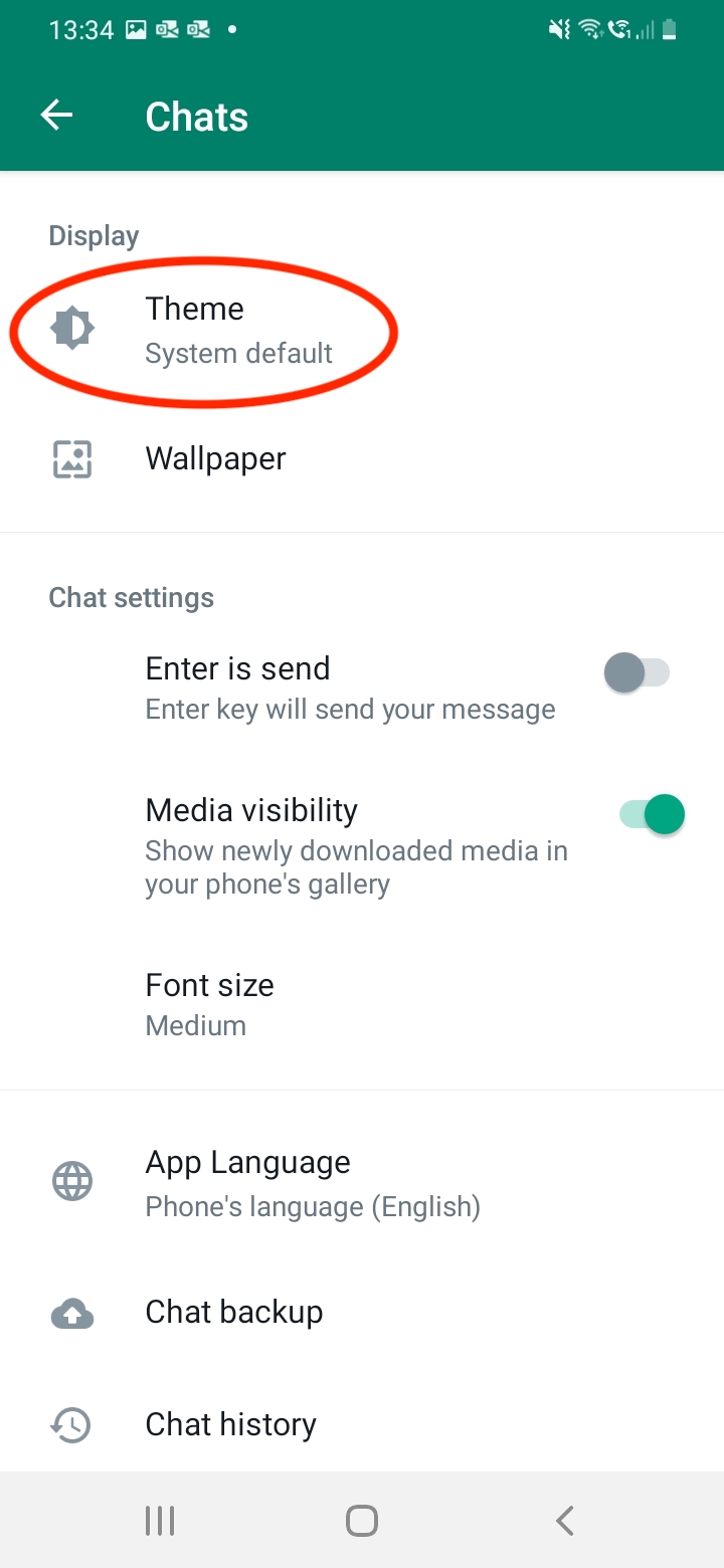 Screenshot of Theme option in WhatsApp